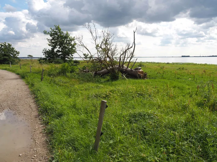 Halshuisene + Enebaerodde Beach (Denemarken)